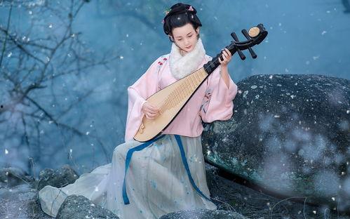 成人弹琵琶视频大全教程