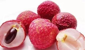 荔枝视频成人版下载,畅享独家内容下载之旅