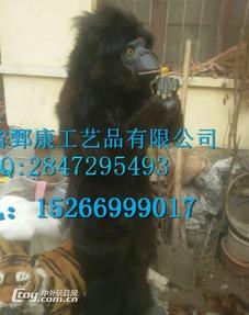 动物模拟成人表演视频,揭秘动物界的“模仿秀”现象